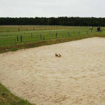 Reitplatz 20 x 40 mit anliegenden Weiden