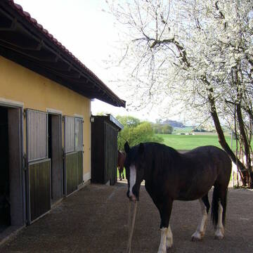 Bild: Stall in  Emmering