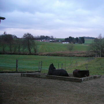 Bild: Stall in  Emmering