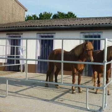 großzügige Paddockboxen auch für Kleingruppen