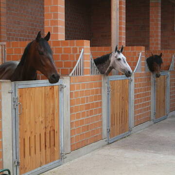 Bild: Stall in  Krebeck