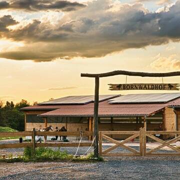 Bild: Stall in  Sprendlingen