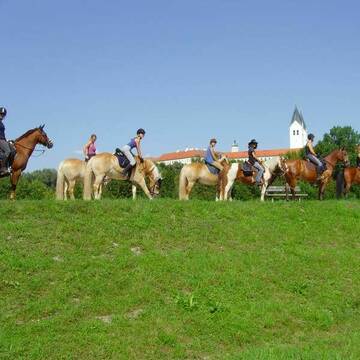 Bild: Stall in  Massenhausen