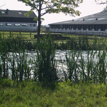 Bild: Service in  Brodersby