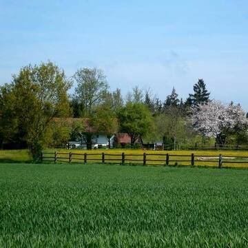 Stall in Alleinlage (Ausreitgebiet)