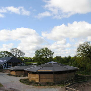 Roundpen, Longierhalle und überdachte Führanlage