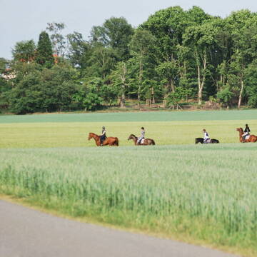 feine Geländestrecke ohne stöhrende Straßen