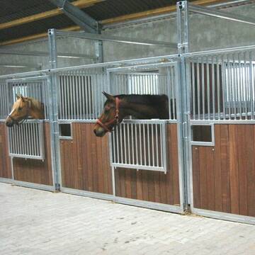 Helle, lichtdurchflutete Ställe mit großen Boxen