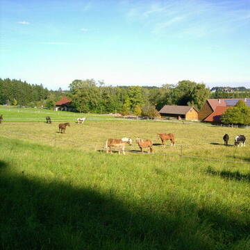 Idyllische Alleinlage