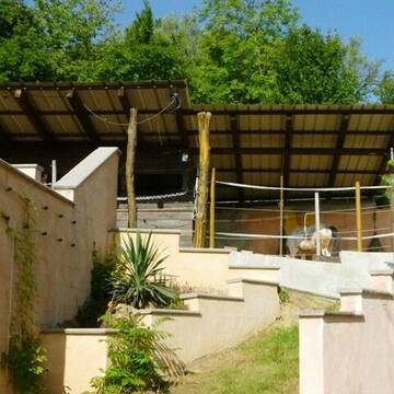 Bild: Stall in  Kenzingen