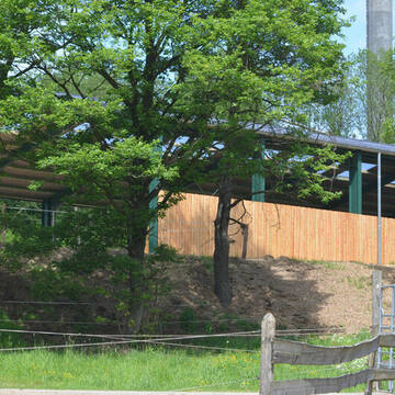 neue Reithalle neben Aktivlaufstall