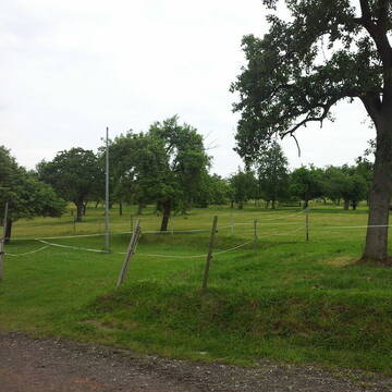 Bild: Stall in  Bexbach