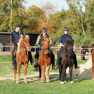 Bild: Stall in  Stuhr