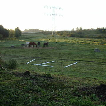 Bild: Stall in  Stralsund