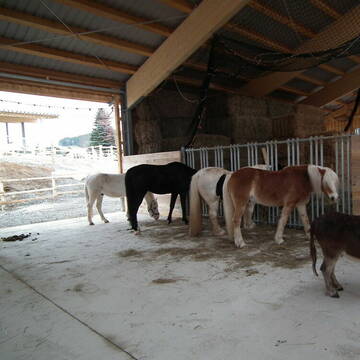 gemeinsames Fressen in der Heuhalle