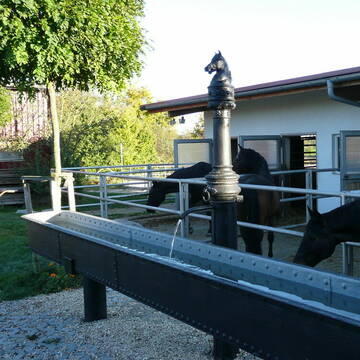 Seit langem haben Pferde hier Tradition