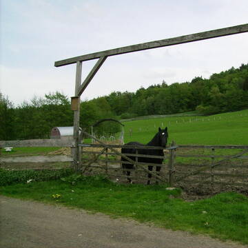 Bild: Stall in  Röthenbach an der Pegnitz