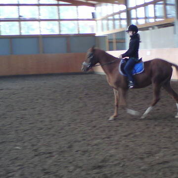 Bild: Stall in  Fröndenberg/Ruhr