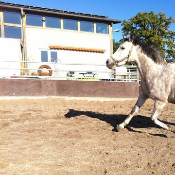 Bild: Stall in  Fröndenberg/Ruhr