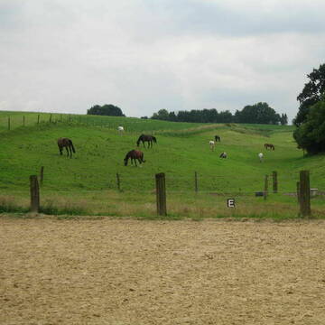 vorne:Reitplatz (20mX40m);hinten:Teil der Wiesen