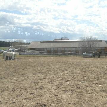 Bild: Stall in  Holzheim am Forst