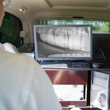 Mobiles Digitales Röntgen