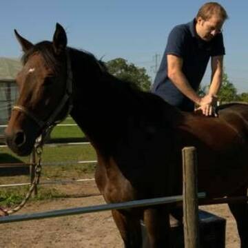 Bild: Service in  Neckargemünd