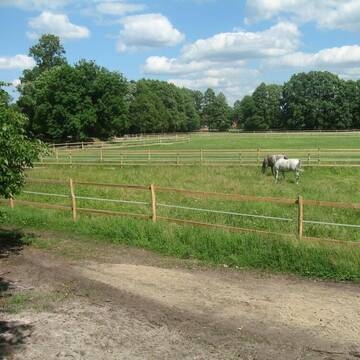 Bild: Stall in  Rehagen