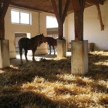 Unser luftiger großzügiger Offenstall