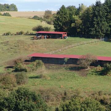 Bild: Stall in  Schlangenbad
