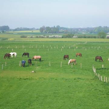 Bild: Stall in  Osdorf