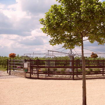 Hofeigene Führanlage