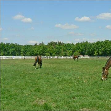 Beispiel unserer Weiden