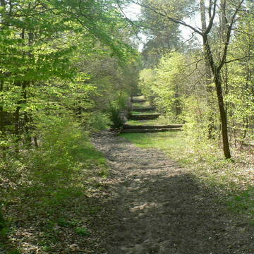 Bild: Stall in  Verden