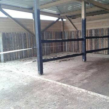 Bild: Stall in  Lohmar