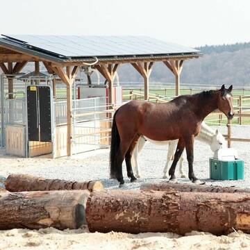 Bild: Stall in  Altenmellrich