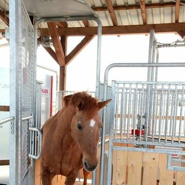 Bild: Stall in  Altenmellrich