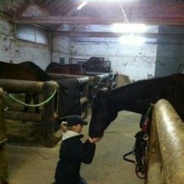 Bild: Stall in  Schwalmtal