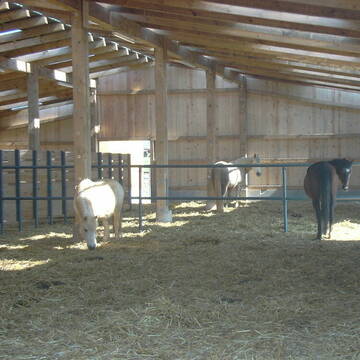 Blick in den Liegebereich