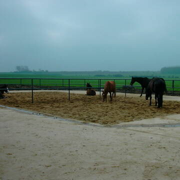 Blick über Auslauf auf die Weiden