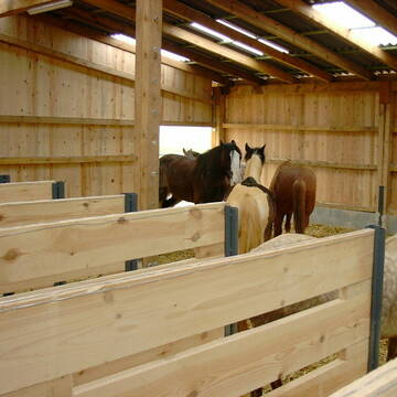 Blick über die Fressstände