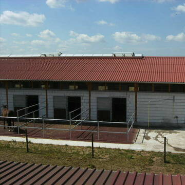 Paddockstall mit Gummibodenbelag