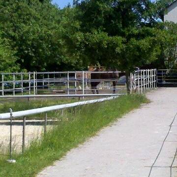 Paddocks für Innenboxen