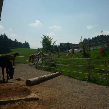Ein Teil des 800 m langen Rundweges