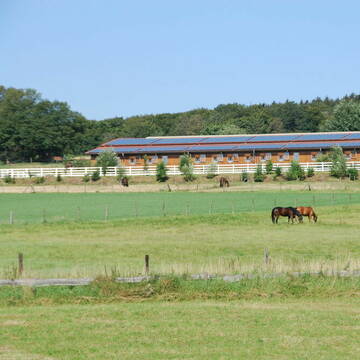 Bild: Stall in  Sprockhövel