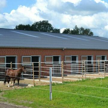 Bild: Stall in  Haren (Ems)