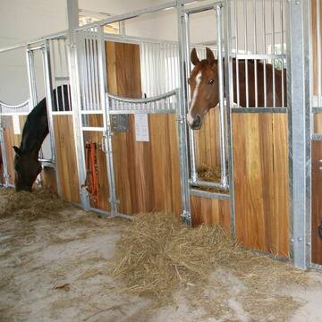 Neue, große Paddockboxen