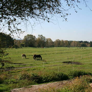 Bild: Stall in  Kolbermoor