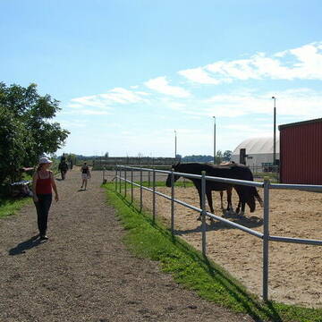 Bild: Stall in  Reitbrook