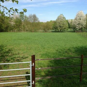 Bild: Stall in  Dünnwald